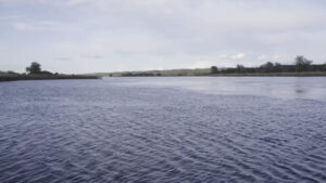 LIQUID CITY.00_53_29_22.Standbild278