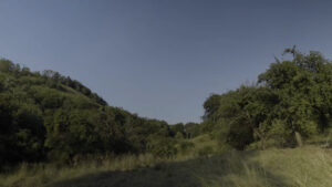 WIEFINDENWIRZSAMMEN_01__.00_00_07_02.Standbild084