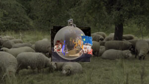 WIEFINDENWIRZSAMMEN_01__.00_01_07_10.Standbild086