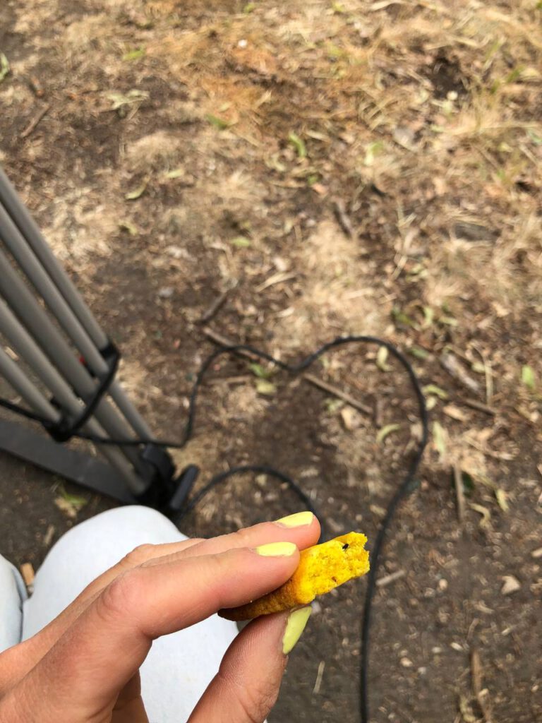 photo_2023-06-14_14-56-36