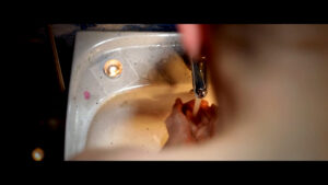 BLOSSOM ft. JEHST - DUSK.00_01_28_10.Standbild082